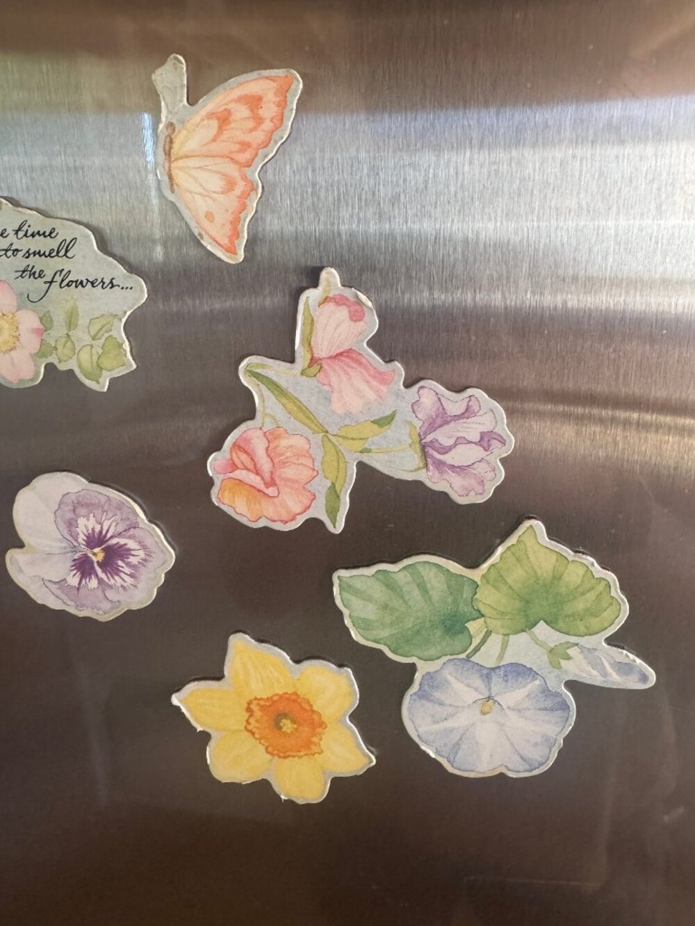 Vintage Floral Fridge Magnet Set - 8pc Watercolor Botanical & Butterfly - Picture 2 of 7